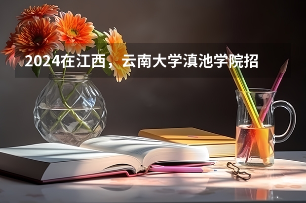 2024在江西，云南大学滇池学院招生计划如何