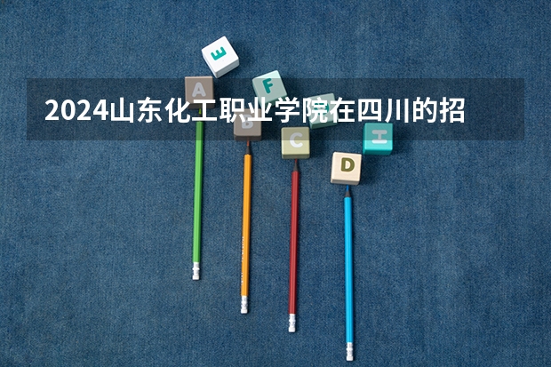 2024山东化工职业学院在四川的招生方案