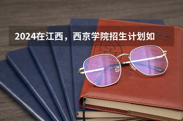 2024在江西，西京学院招生计划如何