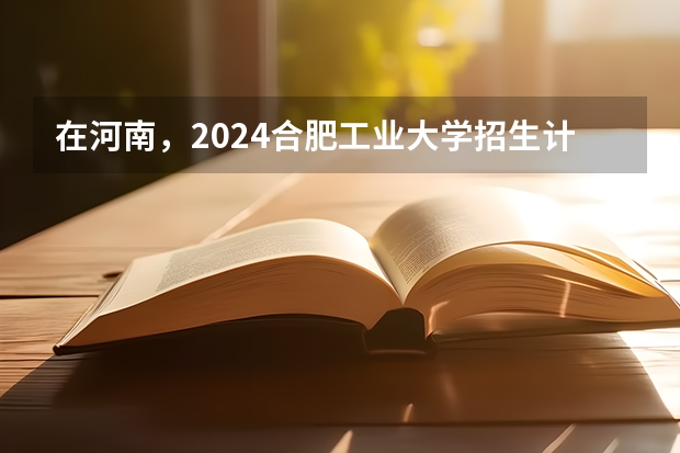 在河南，2024合肥工业大学招生计划如何