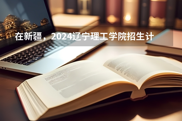 在新疆，2024辽宁理工学院招生计划如何