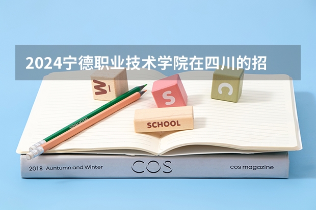 2024宁德职业技术学院在四川的招生方案