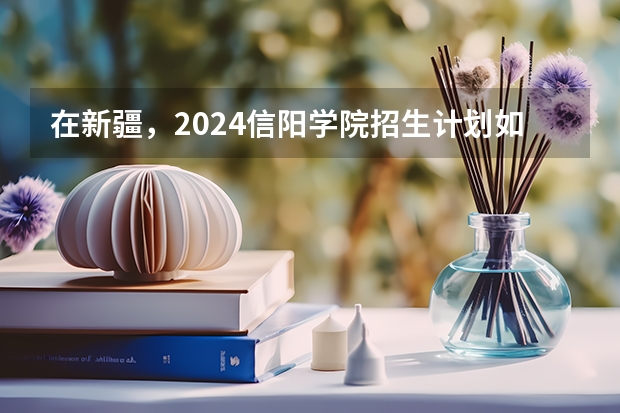 在新疆，2024信阳学院招生计划如何
