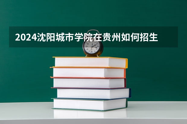 2024沈阳城市学院在贵州如何招生