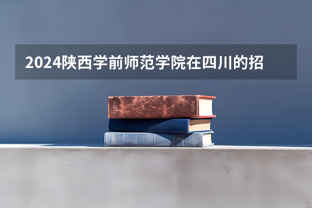 2024陕西学前师范学院在四川的招生方案
