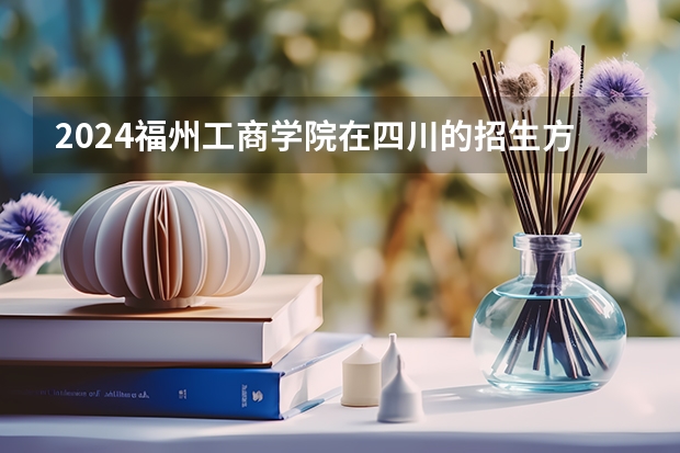 2024福州工商学院在四川的招生方案
