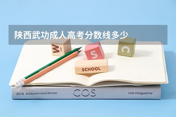 陕西武功成人高考分数线多少