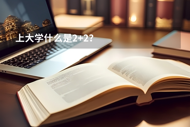 上大学什么是2+2?