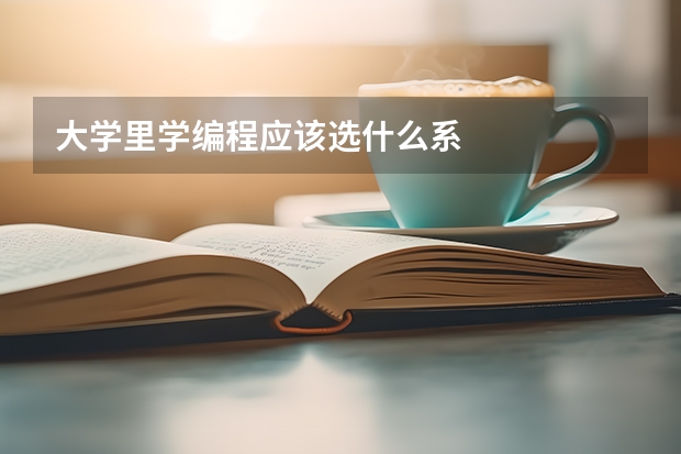 大学里学编程应该选什么系