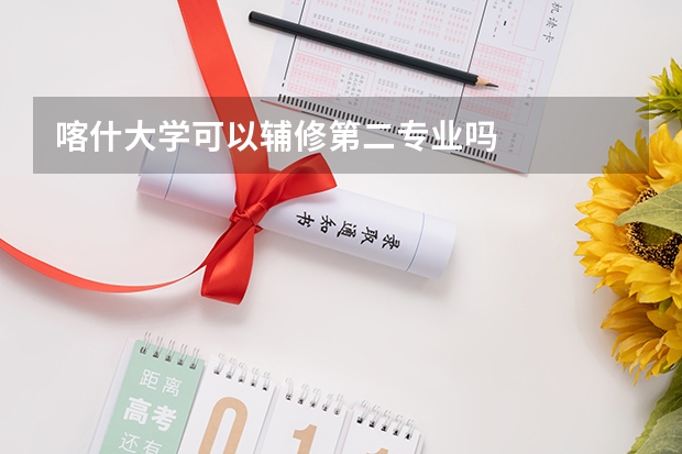 喀什大学可以辅修第二专业吗