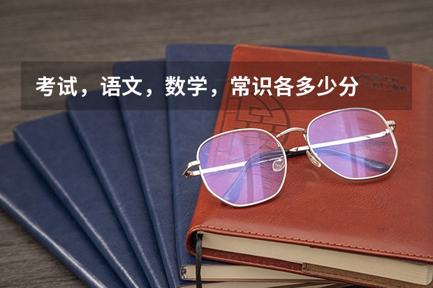 考试,语文,数学,常识各多少分