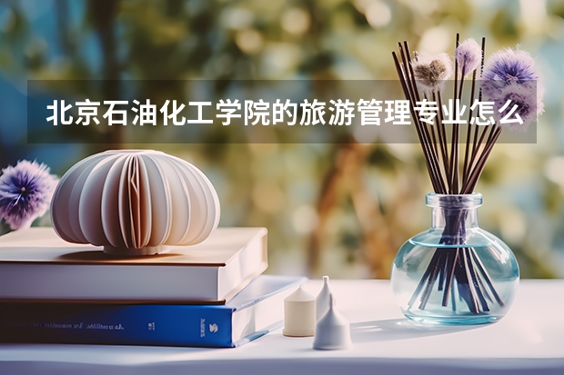 北京石油化工学院的旅游管理专业怎么样?