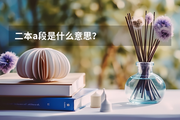 二本a段是什么意思?