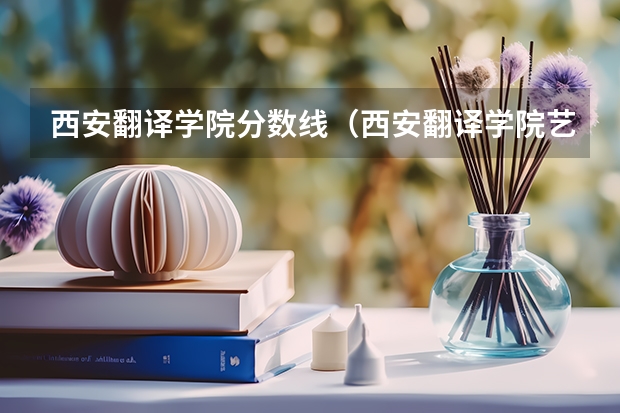 西安翻译学院分数线(西安翻译学院艺术录取分数线)