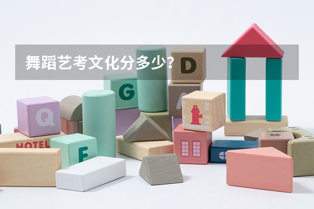 舞蹈艺考文化分多少？