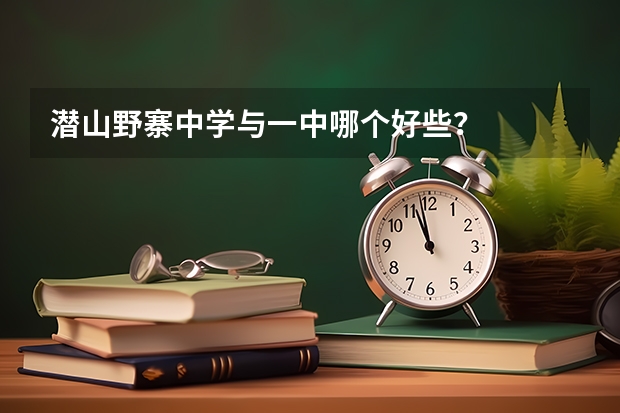 潜山野寨中学与一中哪个好些?