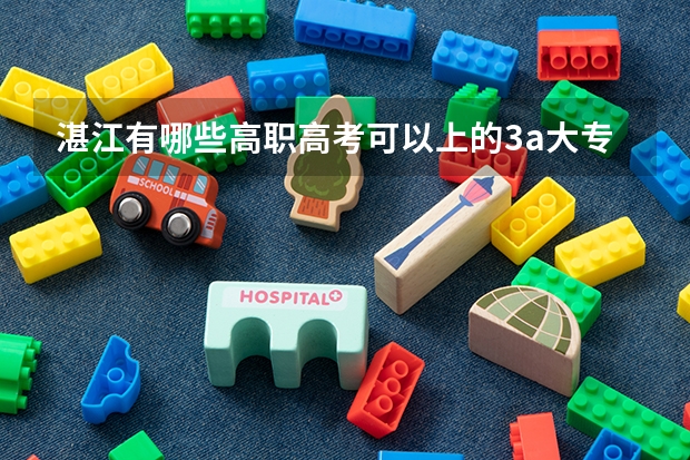 湛江有哪些高职高考可以上的3a大专
