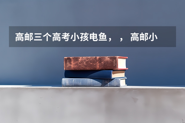 高邮三个高考小孩电鱼, , 高邮小高考分数查询