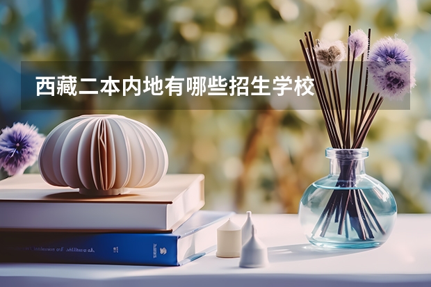 西藏二本内地有哪些招生学校