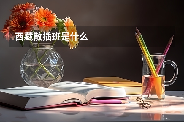 西藏散插班是什么