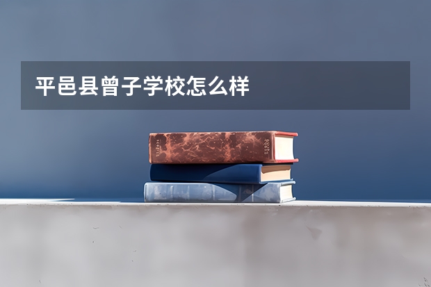 平邑县曾子学校怎么样