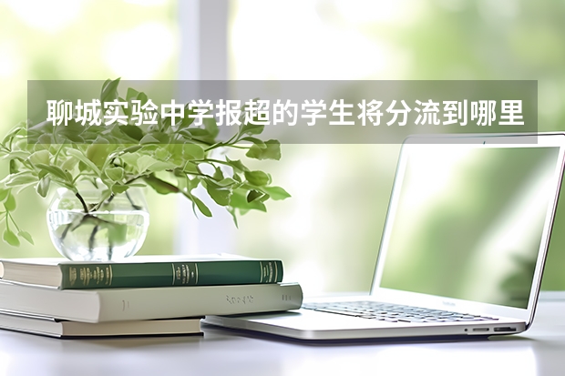 聊城实验中学报超的学生将分流到哪里?