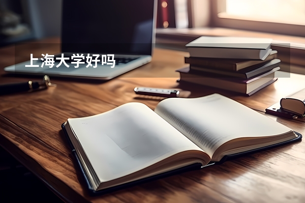 上海大学好吗